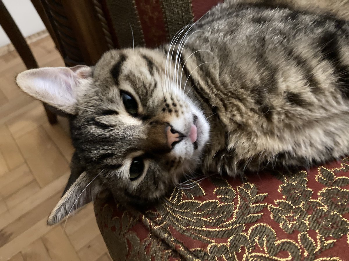 Bir tane bile beyin hücresi yok