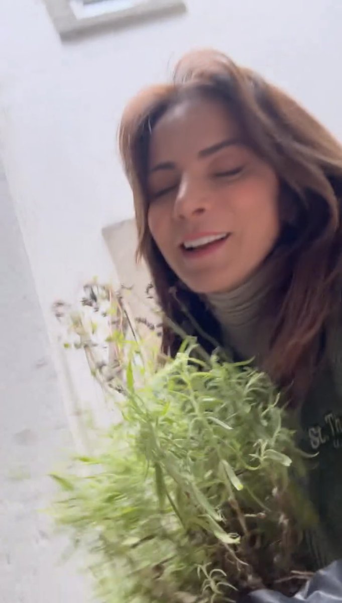Juli_Navarrooo's tweet photo. Uma bela flor cuidando de outra. #Chivis 🪴💚 https://t.co/TficCnHoGt
