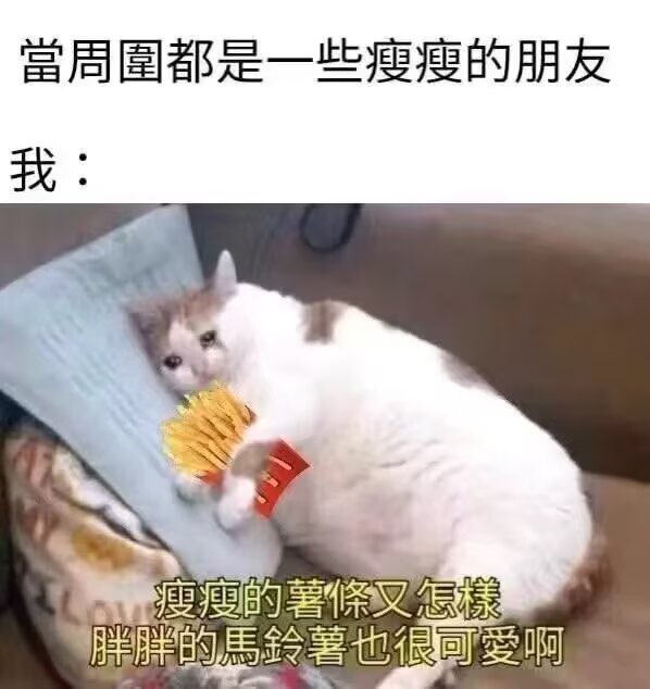 恋 tweet media