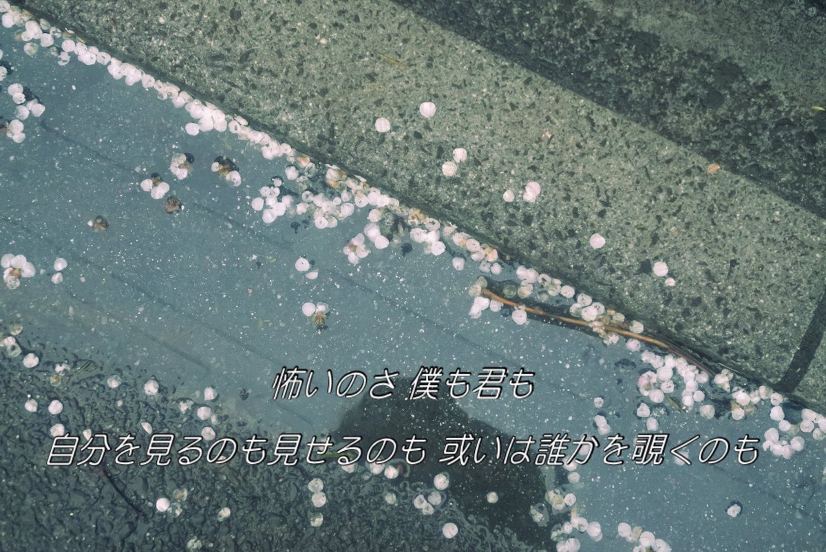 _fhch's tweet image. 