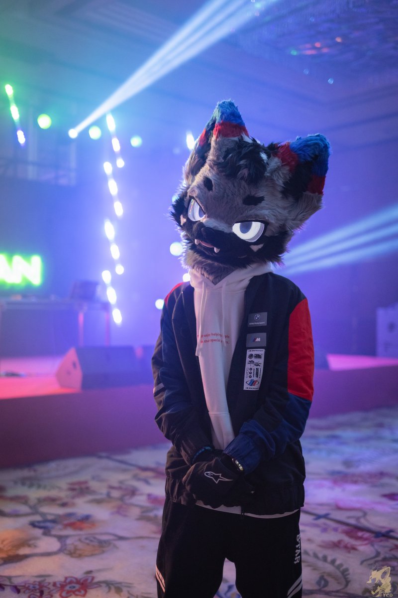 #FursuitEveryday 
夜场帅狗
📷：<a href="/Furry_Freo/">糯米是只龙</a>