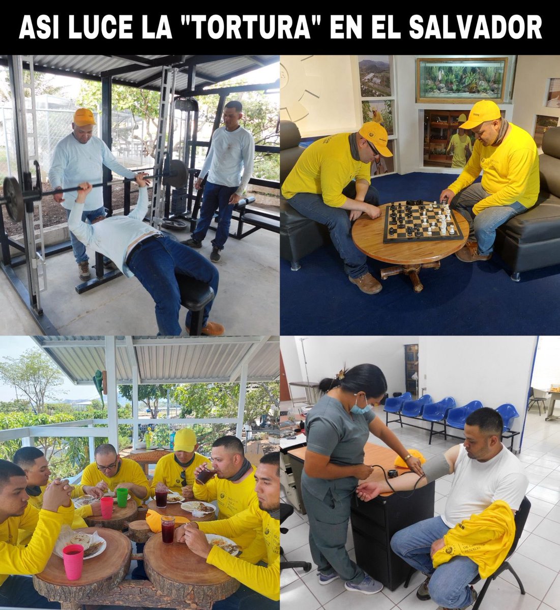 MnicaAbiga45104's tweet photo. @ysuca91siete Pero al final quedó como mentiroso.
Hay pruebas, fotos, videos etc que demuestran lo contrario.
Que vergüenza,y ustedes repitiendo las mentiras de un Pandillero. https://t.co/fo8alNesw5