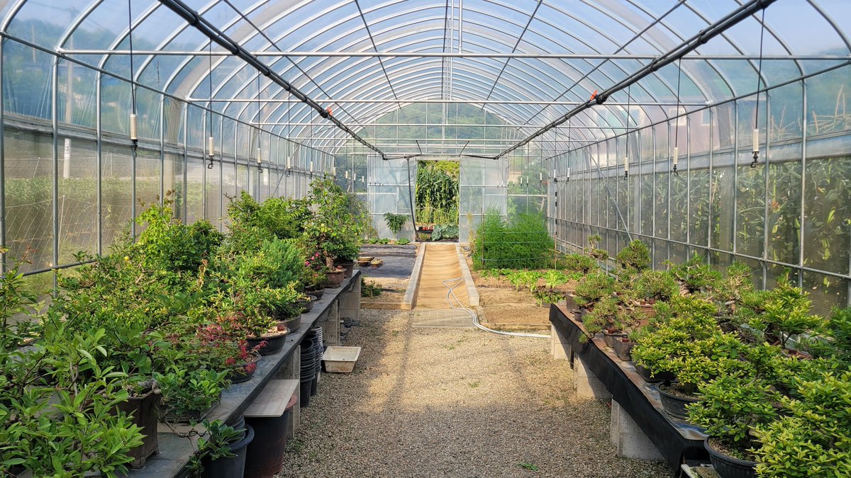 농장에서 1년만에 모임