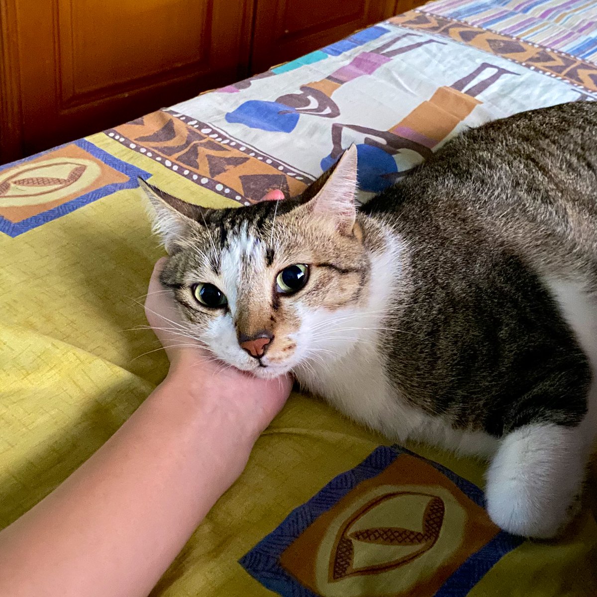 its ok. kyu always listening, always understanding