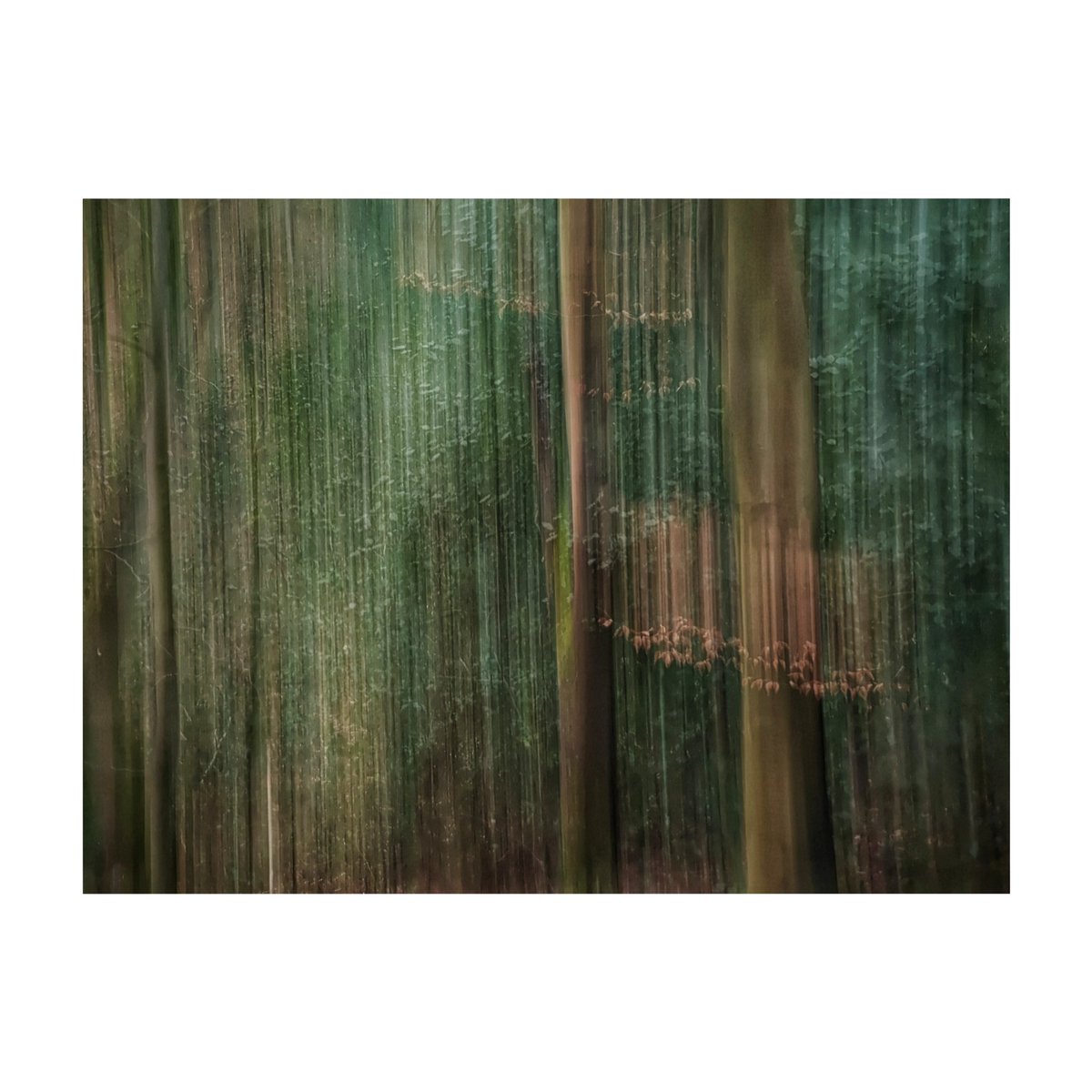 Good morning ☕🍀