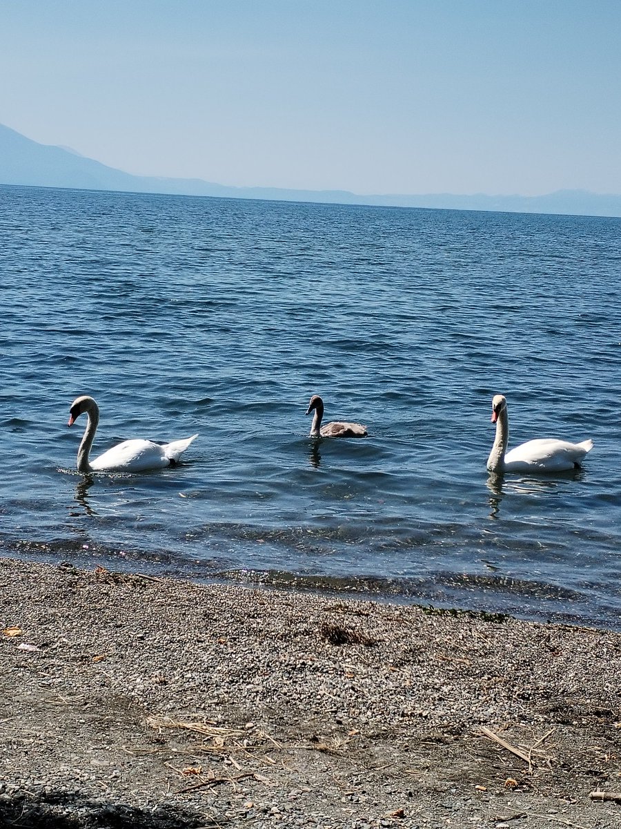 El (@earthling_el) on Twitter photo 