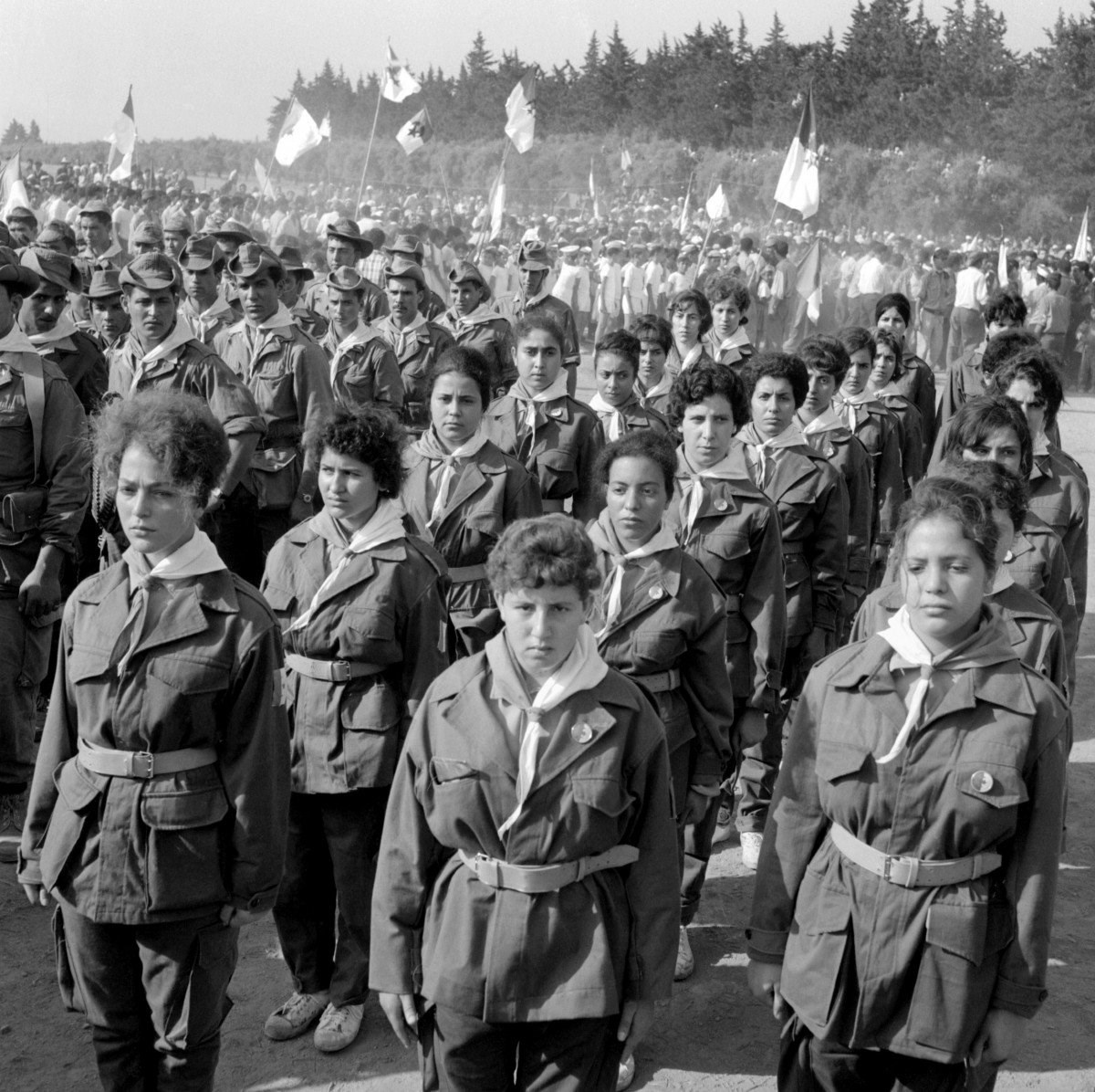 amo_una7's tweet image. #5Juillet1962🇩🇿🇩🇿🇩🇿