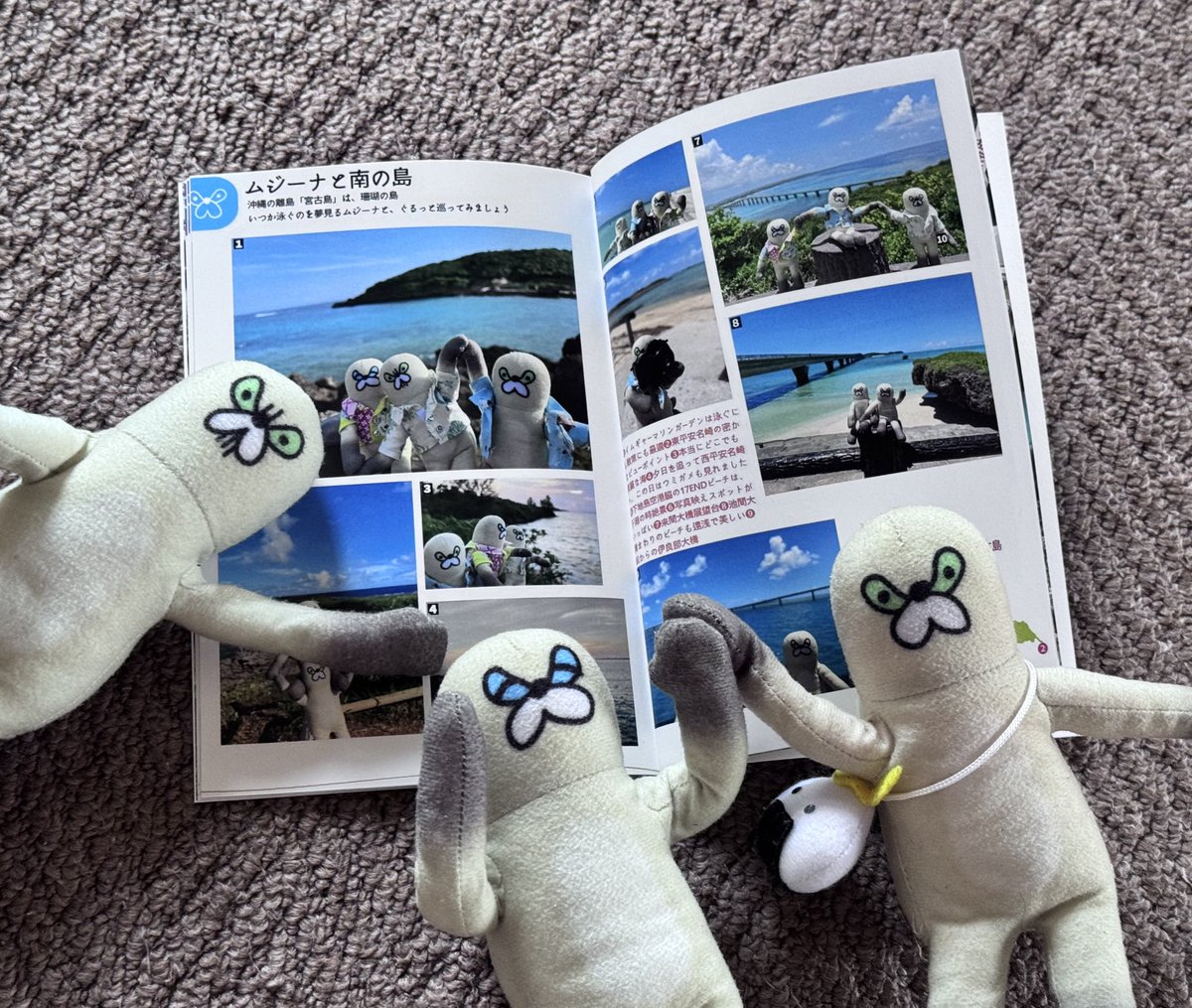 出張から帰ったら、今年作ったムジーナ旅本が届いてました✨
ちょっと大急ぎすぎて、あちこち不備が…

ちょっぴり旅行本みたいになって嬉しいムジーナ達です