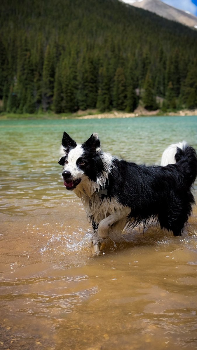 Took my boy out for a few days in the mountains this week