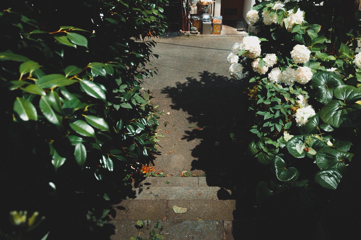 mochi (@mochi_nostalgia) on Twitter photo 