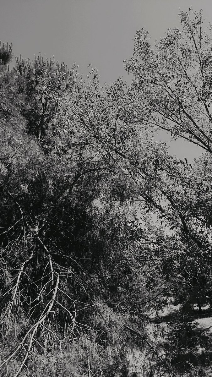 Anılarla dolu bir defteri kapatıyorum...