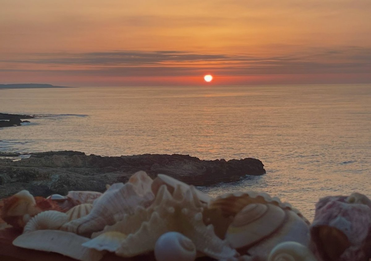 Manuvi_'s tweet image. Sento il mare dentro a una conchiglia
Estate…