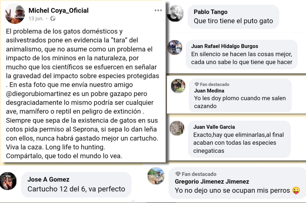 El escopetero Michel Coya animando en sus redes (una vez más) a cazar gatos, y sus palmeros reconociendo (unos con risas, otros pidiendo silencio) que ya los matan.
El mundo de la caza es maldad, cobardía y a menudo delito, nada que asombre en esta gente. Sí lo hace su impunidad.