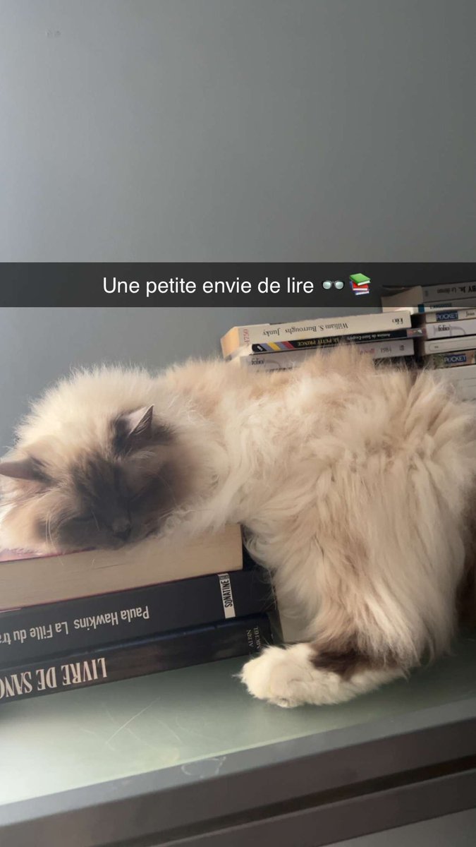 nkmoisii tweet media