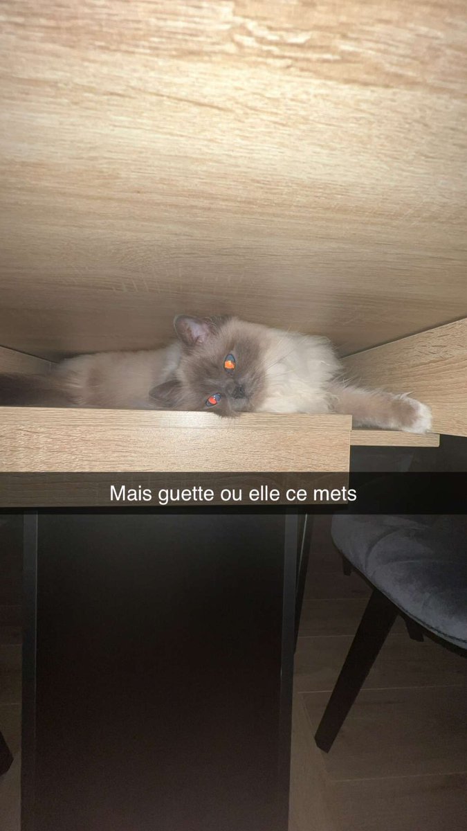 nkmoisii tweet media