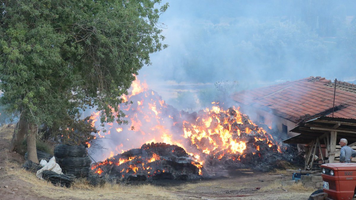 Bir meslek düşünün ki…

Sadece cezaevi duvarları arasında değil, alevlerin ortasında da görev başında.

Günü yok, gecesi yok…

İçeride adaletin, dışarıda hayatın nöbetini tutuyor.

İnfaz ve koruma memuru olmak, sadece bir ünvan değil; başlı başına bir VATAN görevi.

#CEKUT 🇹🇷