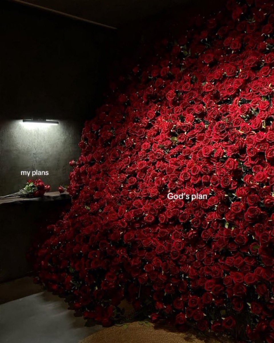 Trust in Allah’s plan