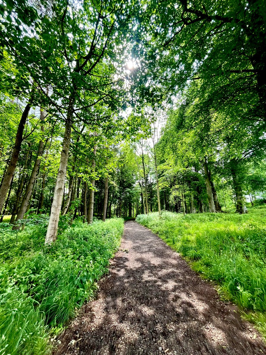 sw37xx's tweet image. Wishing you all a super Saturday! 💚
#NatureBeauty #NaturePhotography