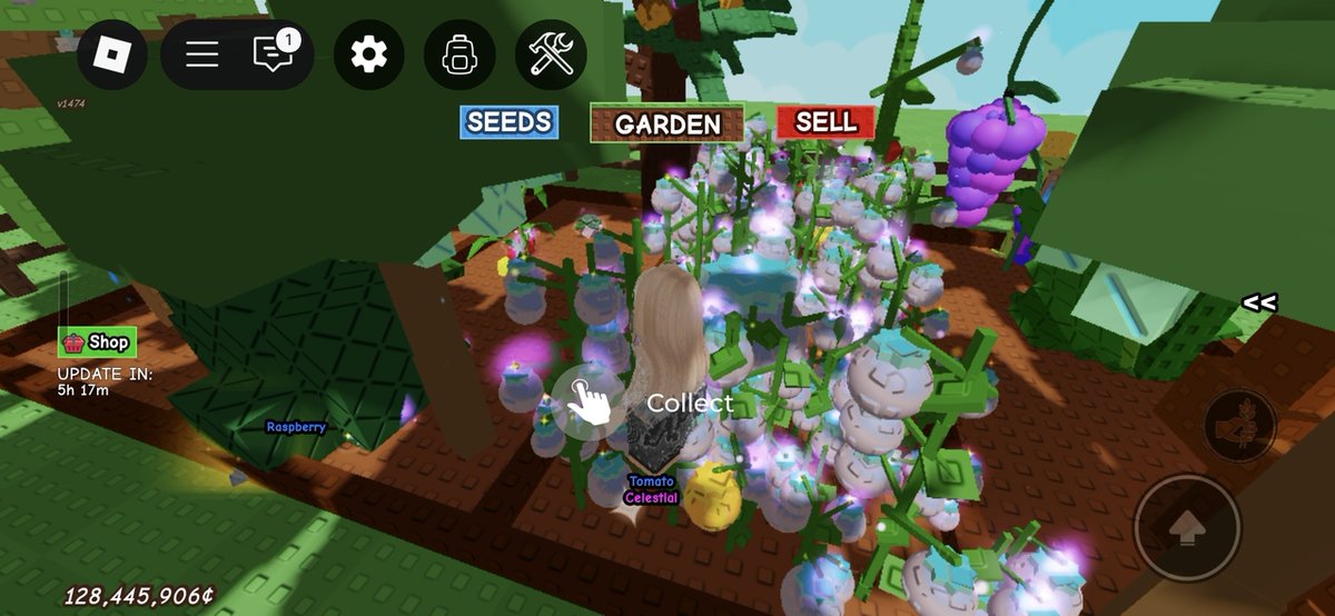 Roblox Fess tweet media