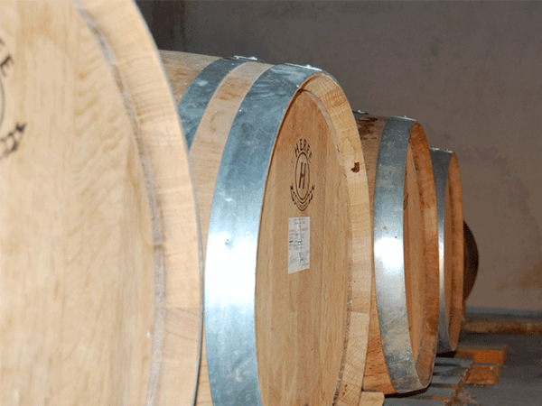 Calidad, ecología y artesanía.

🍇 Bodegas Evine es una bodega ecológica 100% , de elaboración artesana.

🔗 Más información: turismo.yecla.es/portfolio/bode…

#TurismoYecla #DOYecla #Monastrell