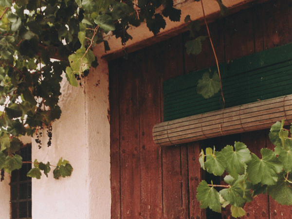 TurismoYecla's tweet photo. Calidad, ecología y artesanía.
🍇 Bodegas Evine es una bodega ecológica 100% , de elaboración artesana.
🔗 Más información: https://t.co/2JKDdjEWiW
#TurismoYecla #DOYecla #Monastrell https://t.co/0xYRWRdauD