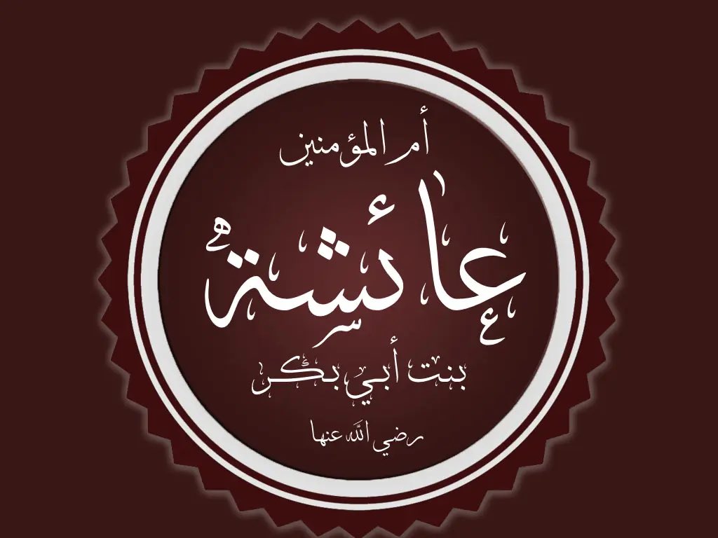 Tarek Abou Zeinab tweet media