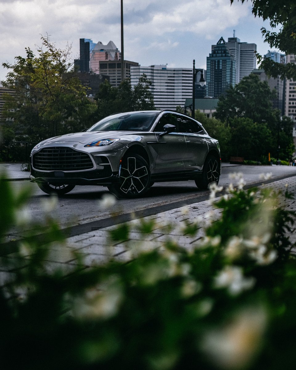BrentwoodAston's tweet image. DBX 

Carve your own path.
Wherever the road takes you.

#AstonMartin #DBX #POWERDRIVEN