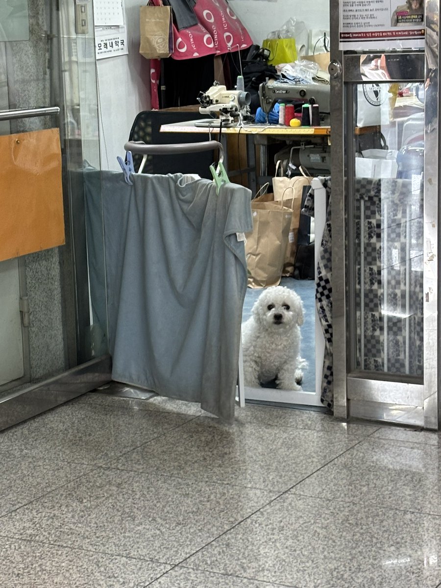 이화퀴어영화제 스탠드업코미디 보구왓어요.^^
너무재밋당ㅎㅎ