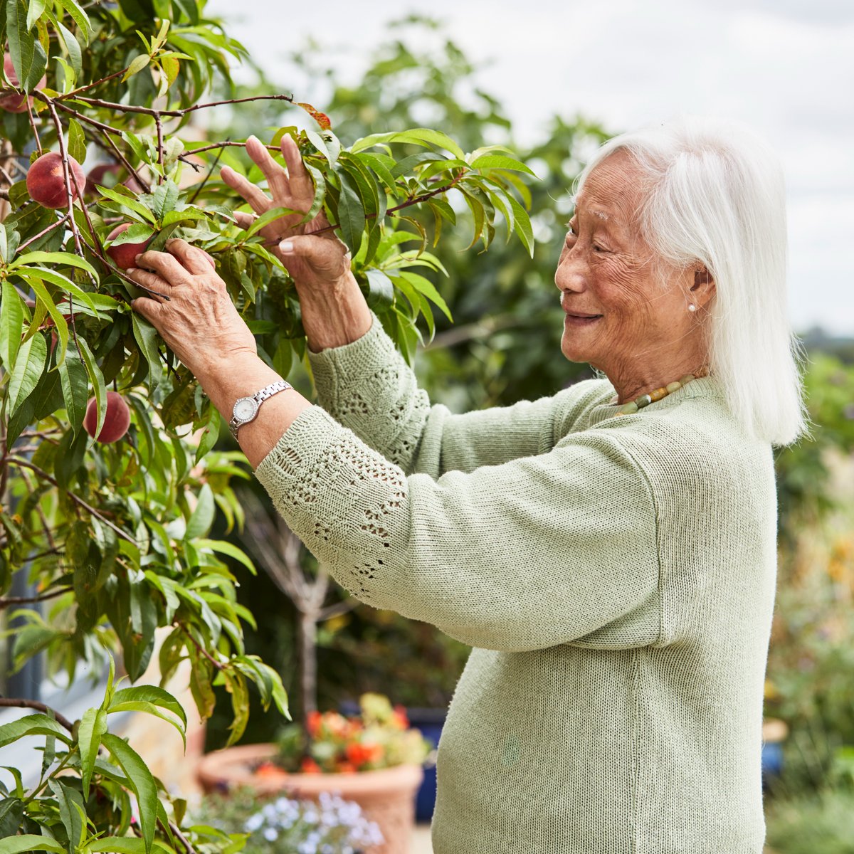 Gardening at home can be a great way for people affected by dementia to stay active and improve their wellbeing. If you’re lucky enough to have a garden or access to outside space, here are some top gardening tips to try: spkl.io/6010A6Frp
