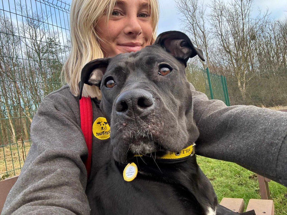 DT_WestCalder's tweet image. #SefieSaturday with the gorgeous Kiwi🥝

Add her to your favourites today👉 bitly.cx/I5e3v

#DogsTrust
#AdoptDontShop
#ADogIsForLife