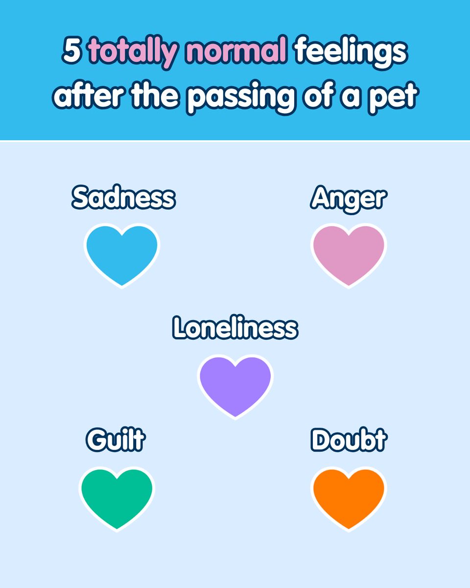 Today on #PetRemembranceDay, we remember the pets who’ve left our lives but stay in our hearts. 💙 

Add a heartfelt tribute to our pet memorial wall 👉 bit.ly/3IbRbC7

Remember you’re not alone, our Pet Loss Support is always here for you
👉 bit.ly/44hpd0a