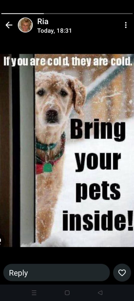 Wanda van der Merwe (@wmvdm) on Twitter photo 