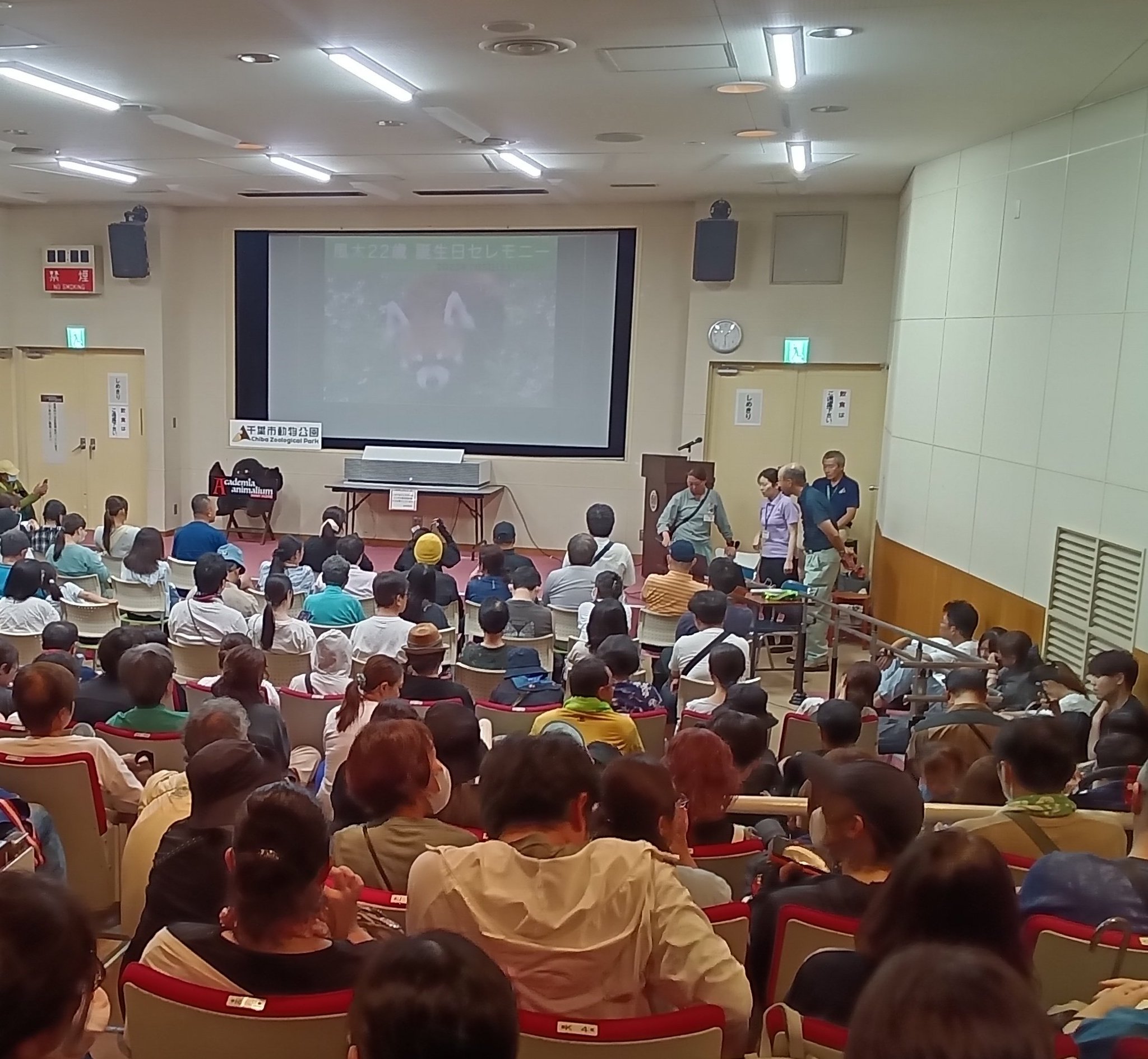 風太の誕生日 レッサーパンダ「風太」20歳誕生日…もう2本足では立てない