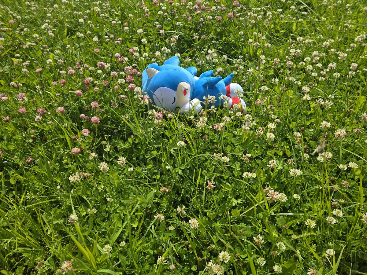 Vittorio_Nora's tweet image. Sleepy