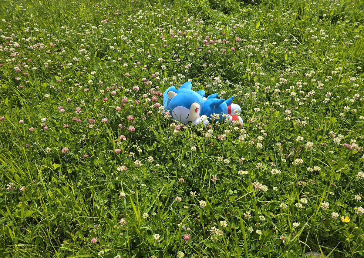 Vittorio_Nora's tweet image. Sleepy