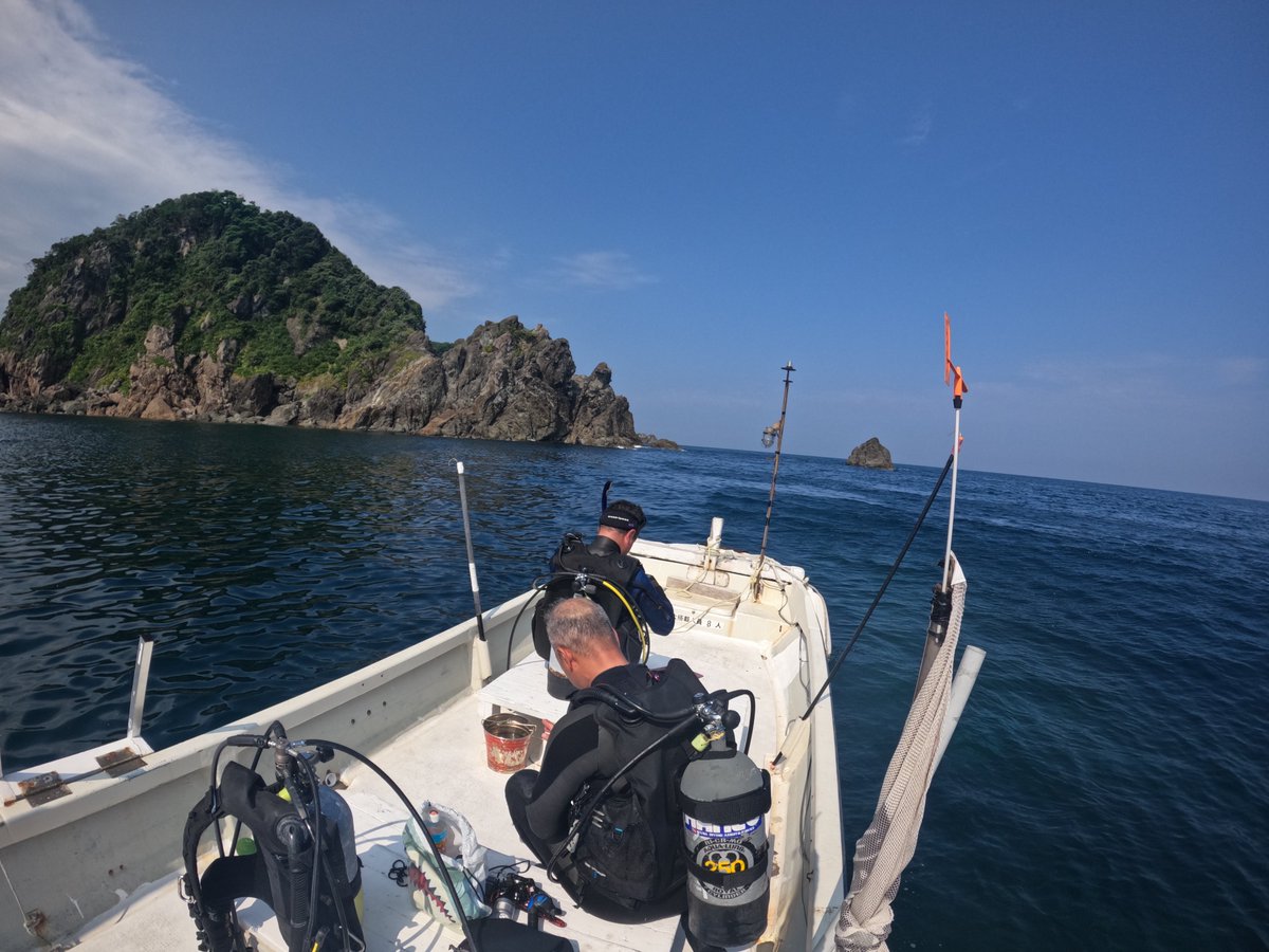 umizono's tweet image. 夏日が続いてます・・・が!波が少し高く高瀬・竜神洞方面はクローズです。 今日は波の影になるポイントでファン2ボートのち15時~1ビーチ。
①双子岩 水温26.0度(水深16m)透視度10m
②羽尾旧突堤沖 水温25.8度(水深10m)透視度10m
③羽尾旧突堤 水温27.2度(水深7m)透視度5~10m
#岩美町