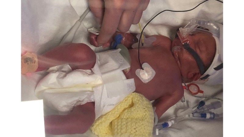 Good luck to Good Luck to Jack Hardeman &amp; friends, climbing Ben Nevis today. Since the arrival of Delilah at 29 weeks in Dec ‘22, Jack has raised funds to support @HullNICU.  Aiming to break the £5k in 3yrs with this latest adventure!  To support visit: buff.ly/XJTNWH1