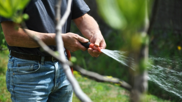 Sproeien tuin? Ja, maar... -  weekbladdebrug.nl/l/27837