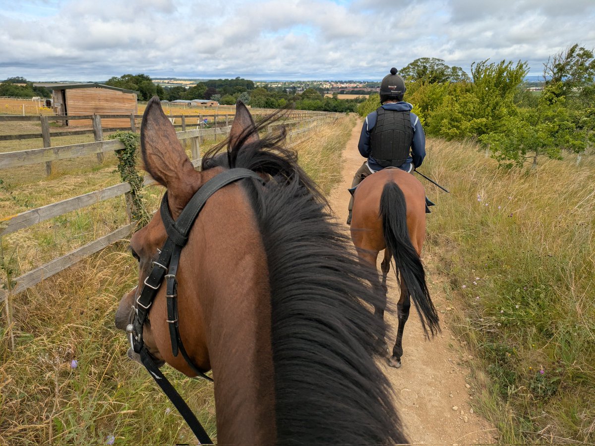 It's a bit of a breezy one ... But another nice view this morning! 
🏇🏇📸☀️🩵👌