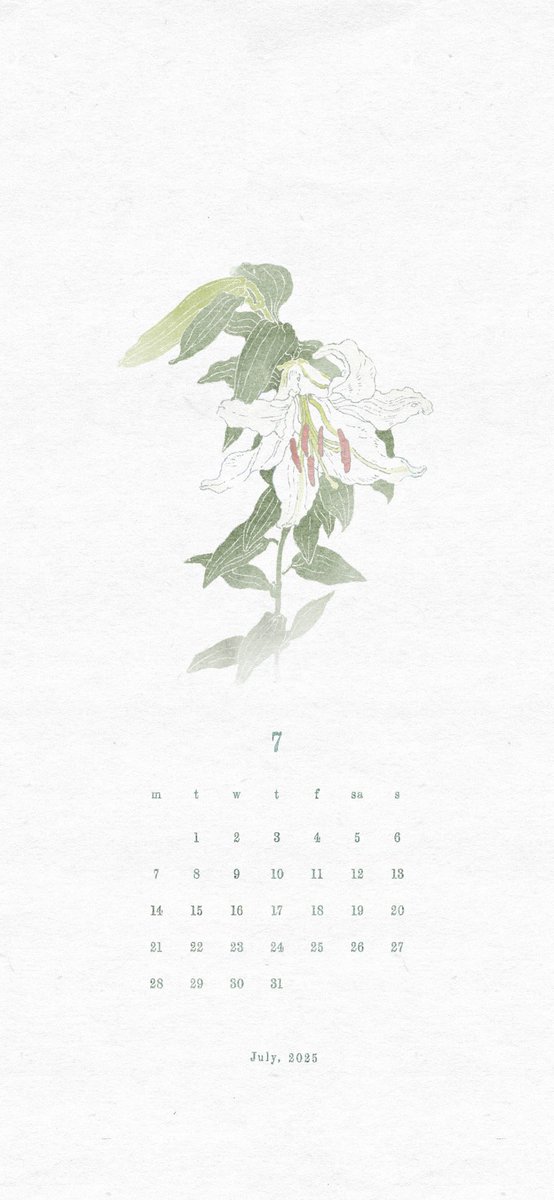 umeda_08's tweet image. #カレンダー 
 #calendar
7月のカレンダーできました。
散歩してたらみつけた
おそらくカサブランカ。
個人的にでよかったら壁紙にどうぞ🕊