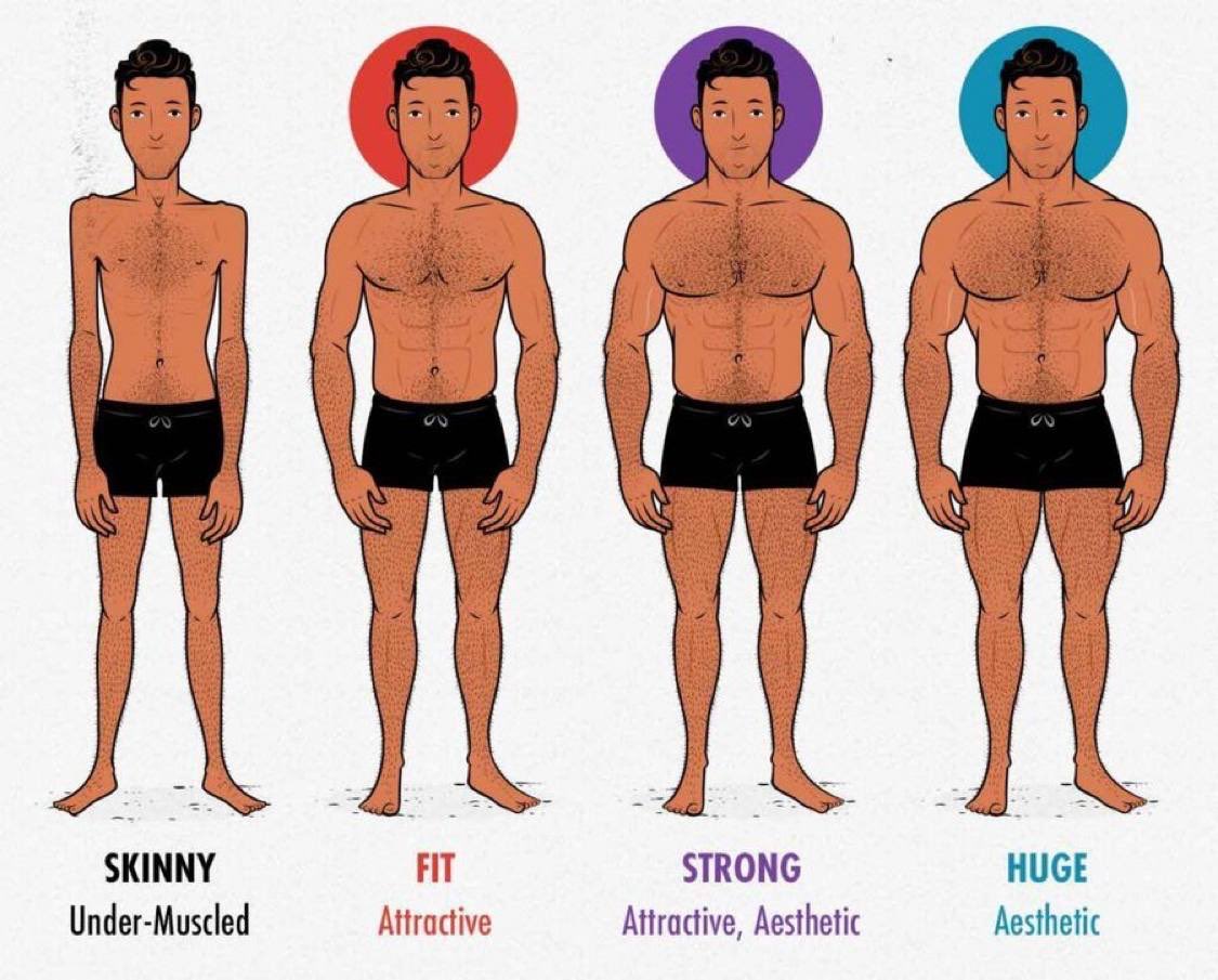 FlexFusion_'s tweet photo. Every fitness tip I have from 11 years in the gym:

1. Cut your alcohol intake https://t.co/osyhQLCLlO