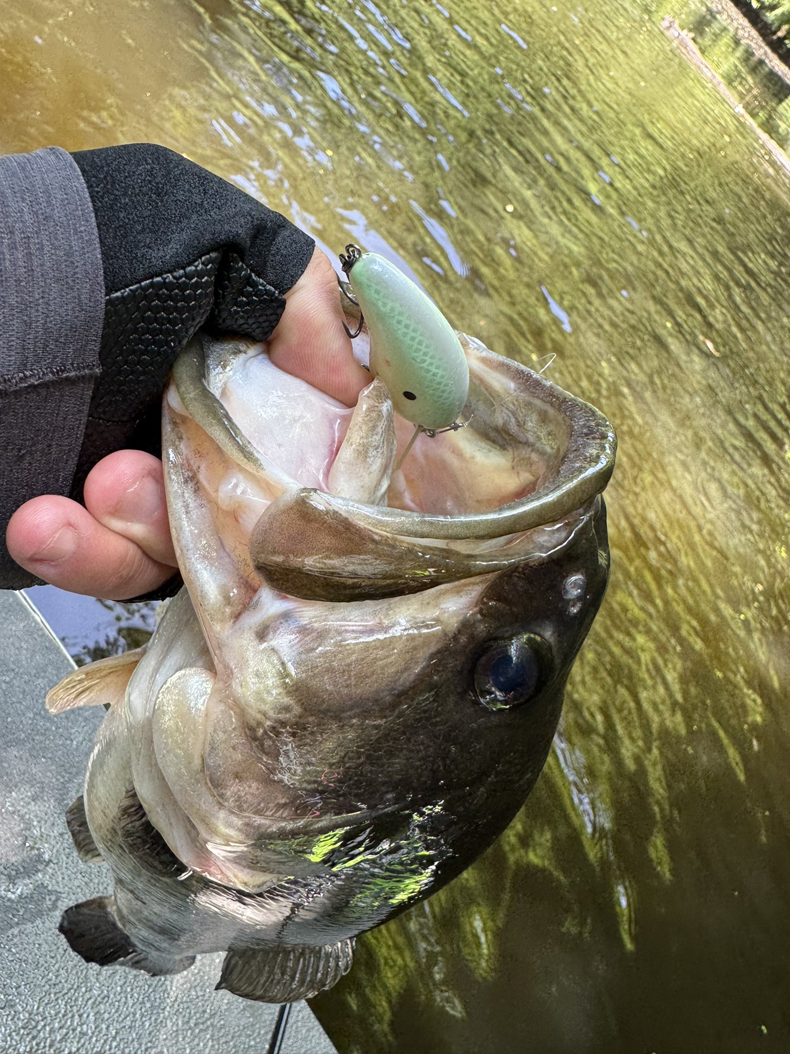 交換無料！ Ryo Sakurai【MPB LURES】【GRAVEL】 (@mpb_lures) / X ルアー・フライ
