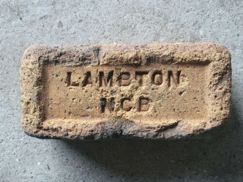 seabricksteve's tweet image. 🧱Lots of vintage bricks with #northeast #yorkshire #mining links!
🧱Check Ebay for over 100 bricks that make great gift for the garden!
ebay.co.uk/usr/seabrickst…
#NCB #coalmining #pit #miningheritage #brickworks #eastdurham #durhambigmeeting #durhamminersgala #nationalcoalboard