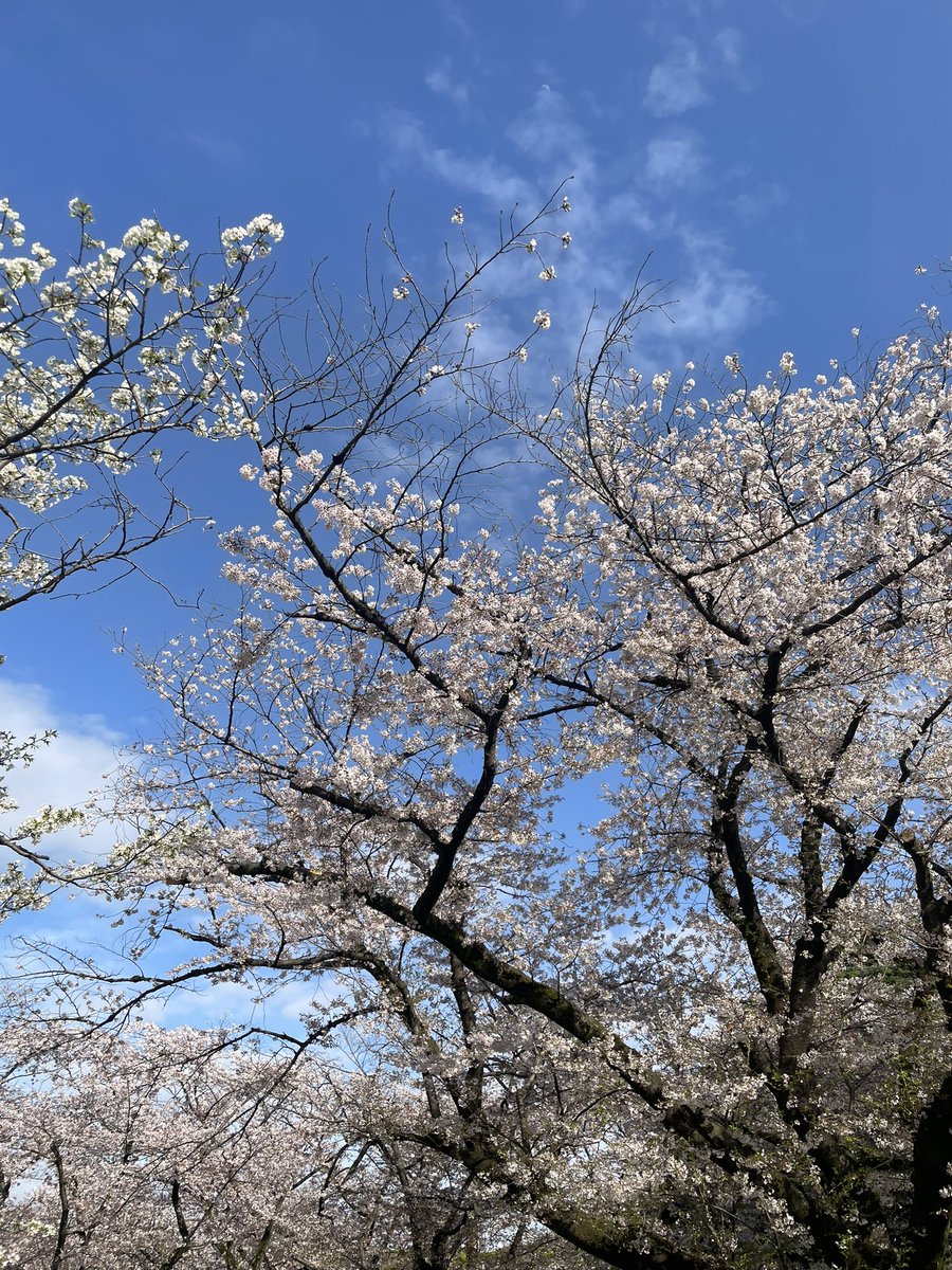 _sa__e's tweet photo. #日常垢
#日常垢さんと繋がりたい https://t.co/oogz2EwsM3