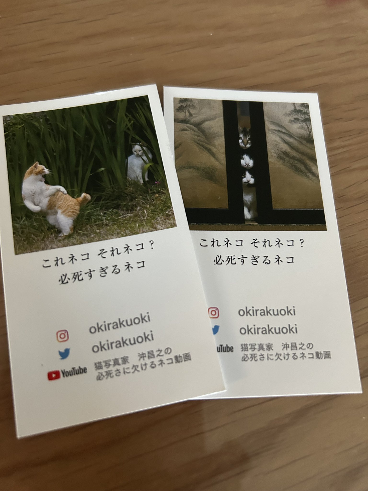 まい❦❁ᵕ̈* on X: 