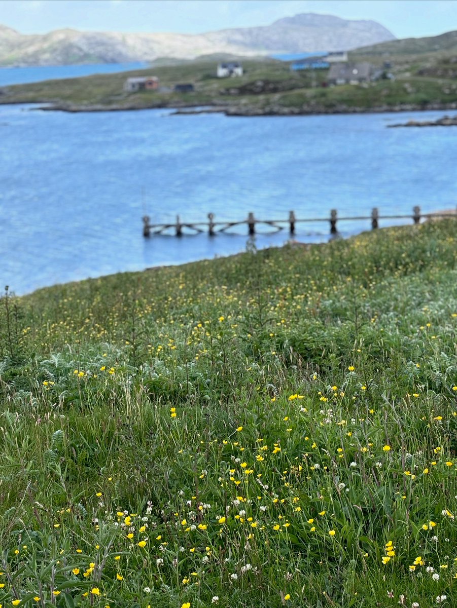 Left Eriskay a year ago today a very special island. Looking forward to returning.