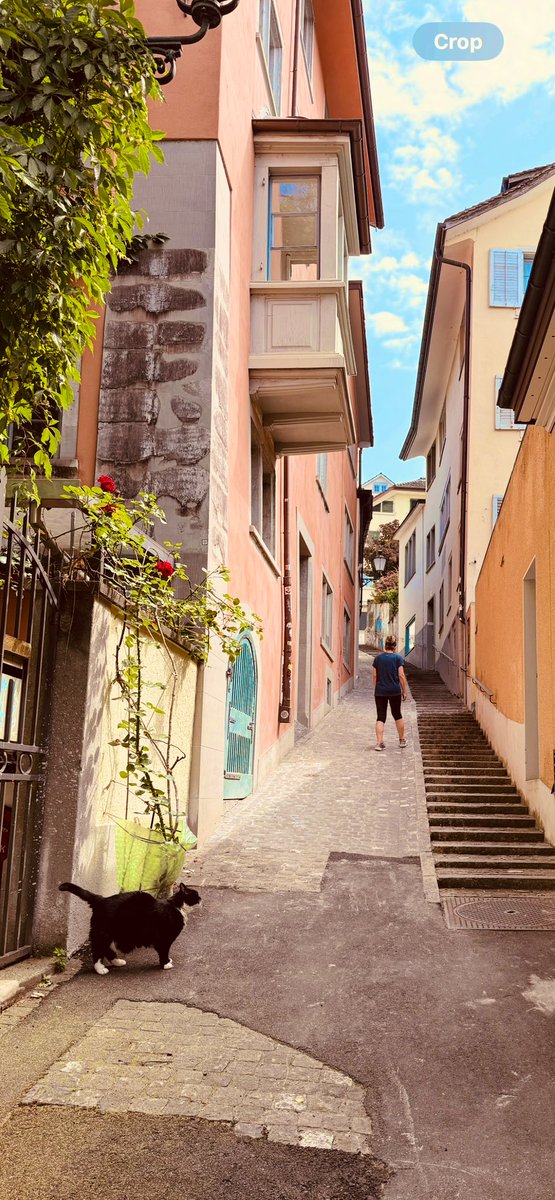 Ricky Gervais tweet media