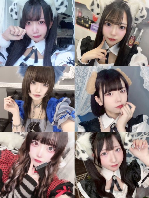 わんわんPRIMOのツイート