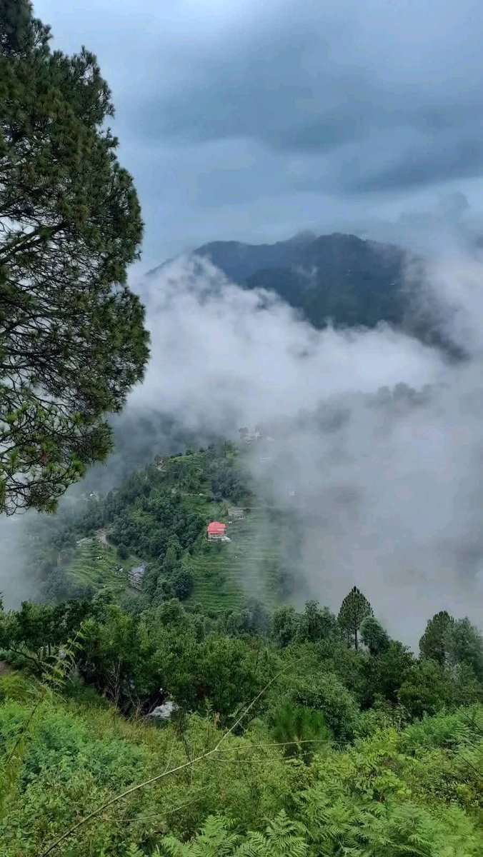 समय के गणित में
शून्य का मूल्य 
जीवन के आँकड़ों से 
कई गुणा अधिक है...

शून्य से आरंभ करके
शून्य तक पहुँचने का 
सफ़र ही जीवन का 
अनसुलझा गणित है..।।