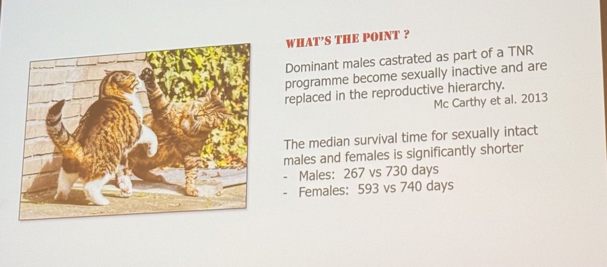 грустное

медиана продолжительности жизни бездомных кошек без контакта с человеком
(интактных vs кастрированных)